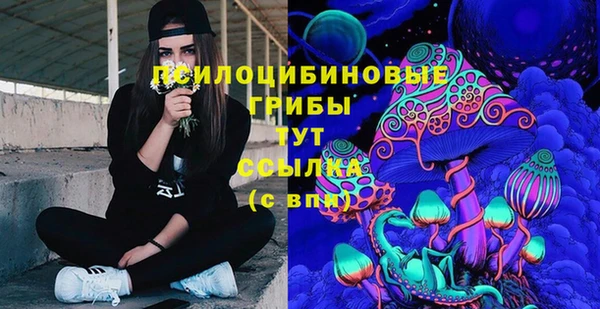 меф Новодвинск