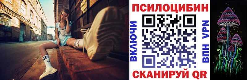 продажа наркотиков  Ртищево  Галлюциногенные грибы Psilocybe 